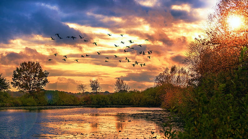 Autumn's final in Northern Germany, sky, trees, Lake, colors, twilight, clouds, HD wallpaper