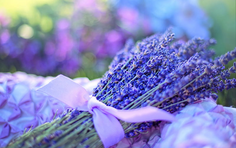 lavender, wildflowers, purple bouquet, bouquet of lavender, HD wallpaper