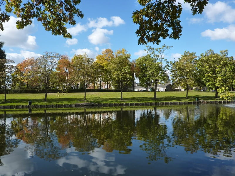 Autumn Reflection, fall, autumn, bladeren, park, trees, herfst, HD wallpaper