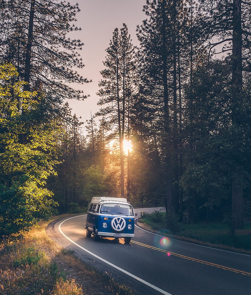 graphy, vw bus, forest, road, Yosemite National Park, portrait display, Volkswagen, calm, vans, sunlight, sunset, blue cars, vertical, car, HD phone wallpaper