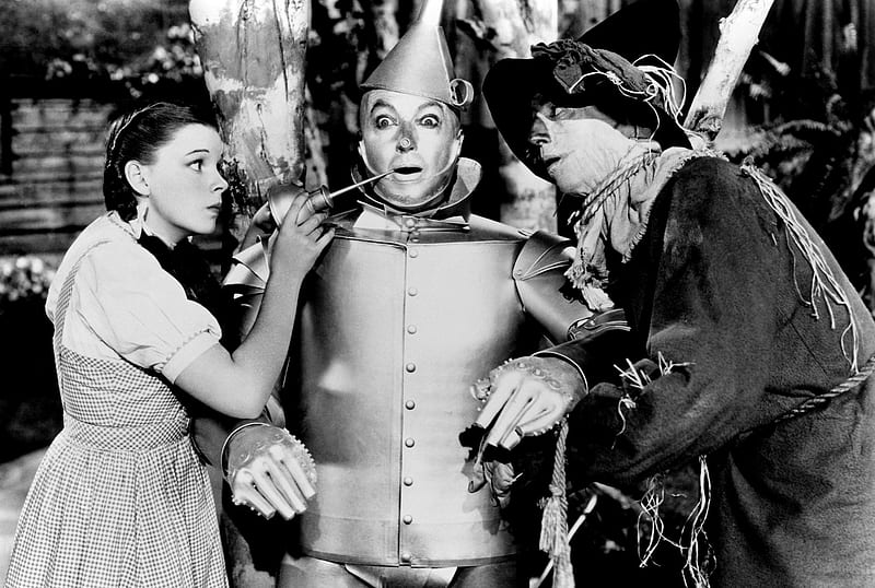 Wizard Of Oz, Tin Man, Oil Can, Scarecrow, Movies, Dorothy, Hats, HD wallpaper