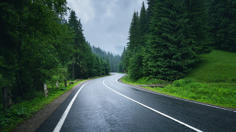 Road Between Green Trees Forest Under White Clouds Sky Nature, HD wallpaper