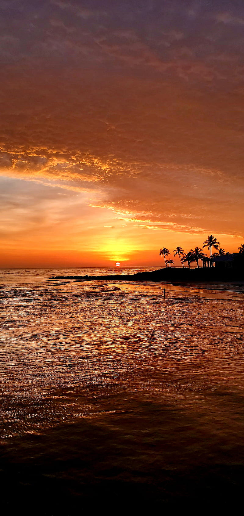Sunset, beach, fishing, mutantfawkes, naples florida, ocean, summer, sunrise, water, HD phone wallpaper