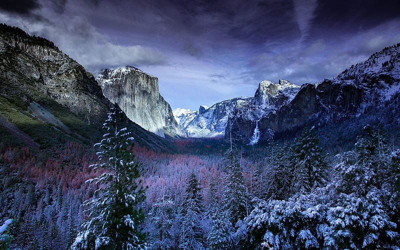 Yosemite Valley winter, american landmarks, Yosemite National Park, forest, California, USA, America, HD wallpaper