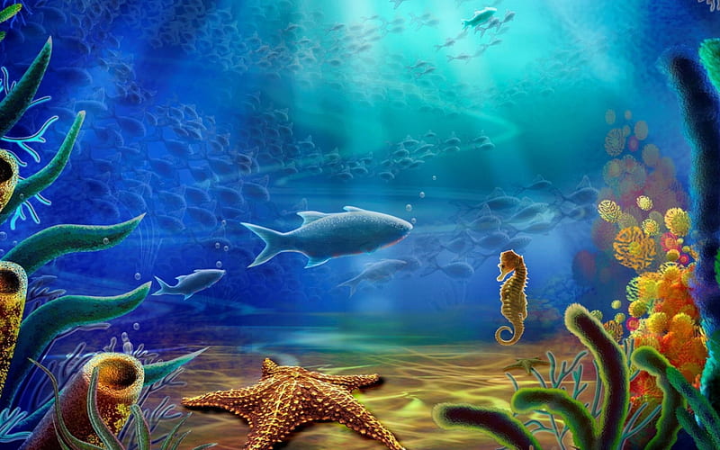 Sea life, underwater, water, fish, ocean, nature, starfish, sea, light, HD wallpaper