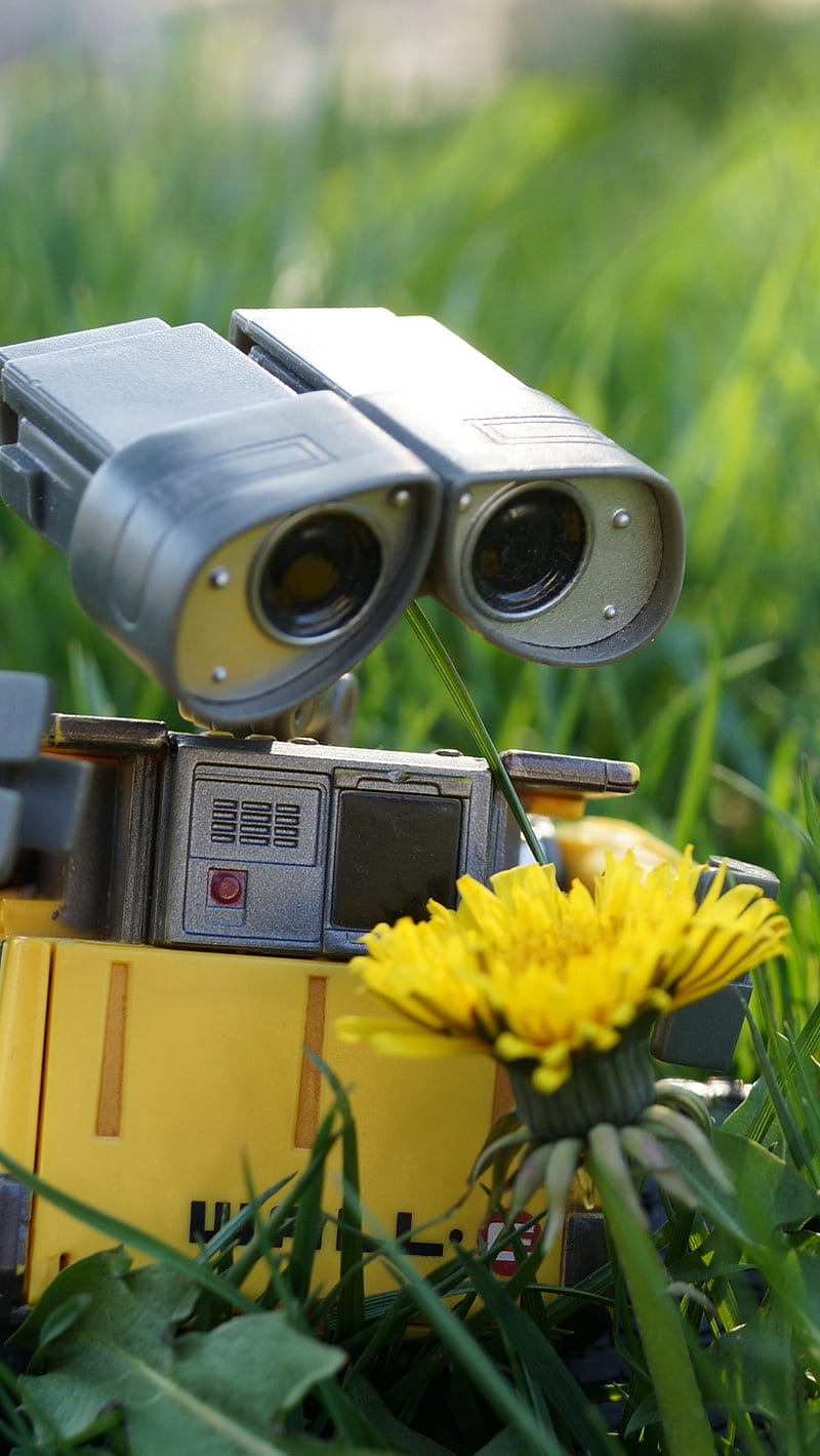 Wall-e, flower, grass, robot, HD phone wallpaper