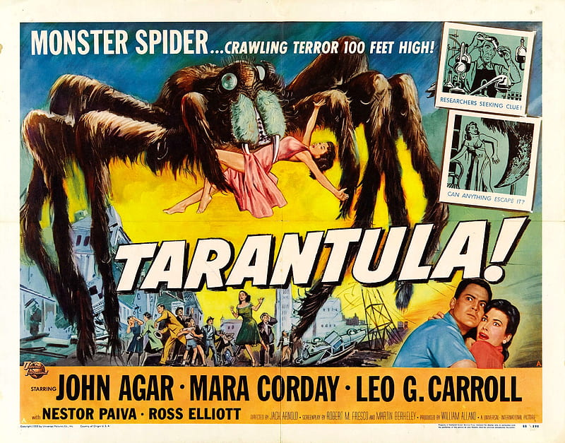 tarantula, monster, alien, spider, HD wallpaper