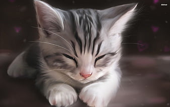 Cute anime Kitten | Cute cat drawing, Kitten drawing, Cat drawing-demhanvico.com.vn