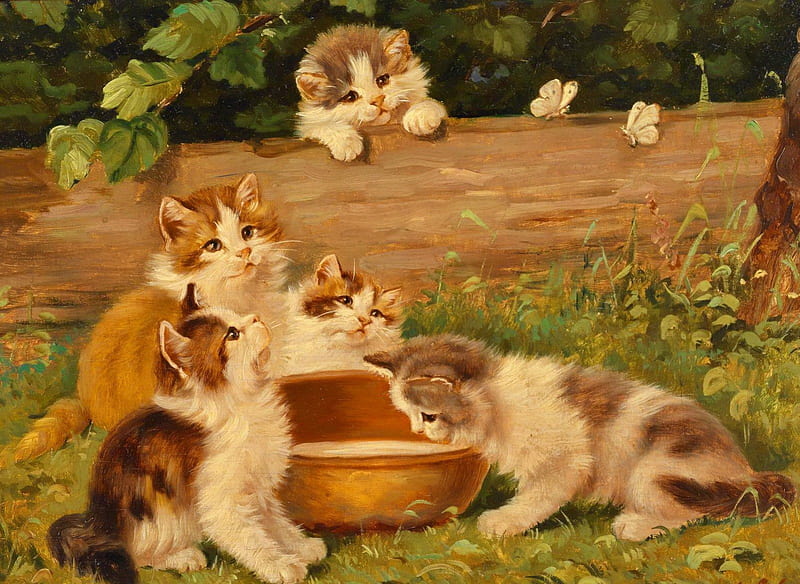 Playing kittens, house, grass, fluffy, home, bonito, adorable, sweet, painting, kitties, friends, wood, playing, art, lovely, kittens, pets, yard, cute, nature, cats, nioce, HD wallpaper