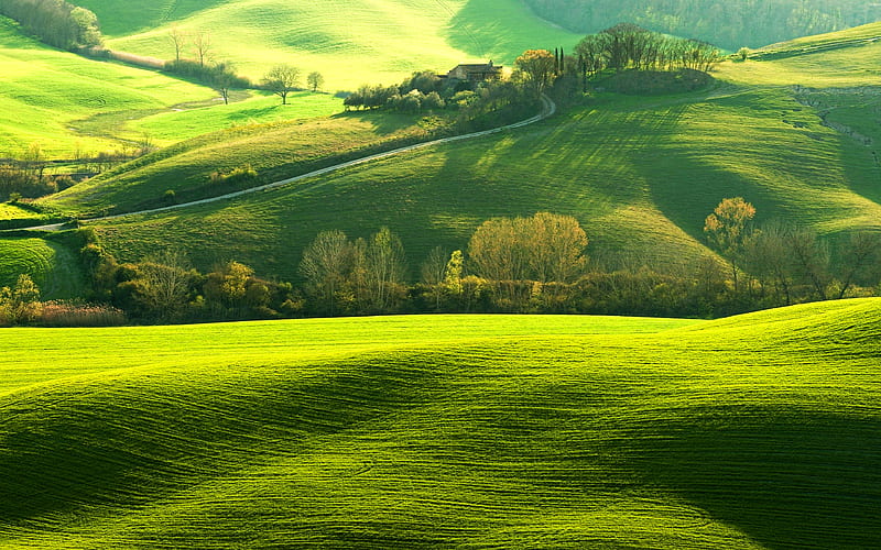 Tuscany summer, beautiful nature, green hills, Italy, Europe, HD wallpaper