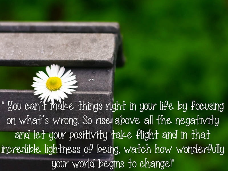 Rise Above, Words, Sayings, Thoughts, Flowers, Nature, Quotes, HD wallpaper