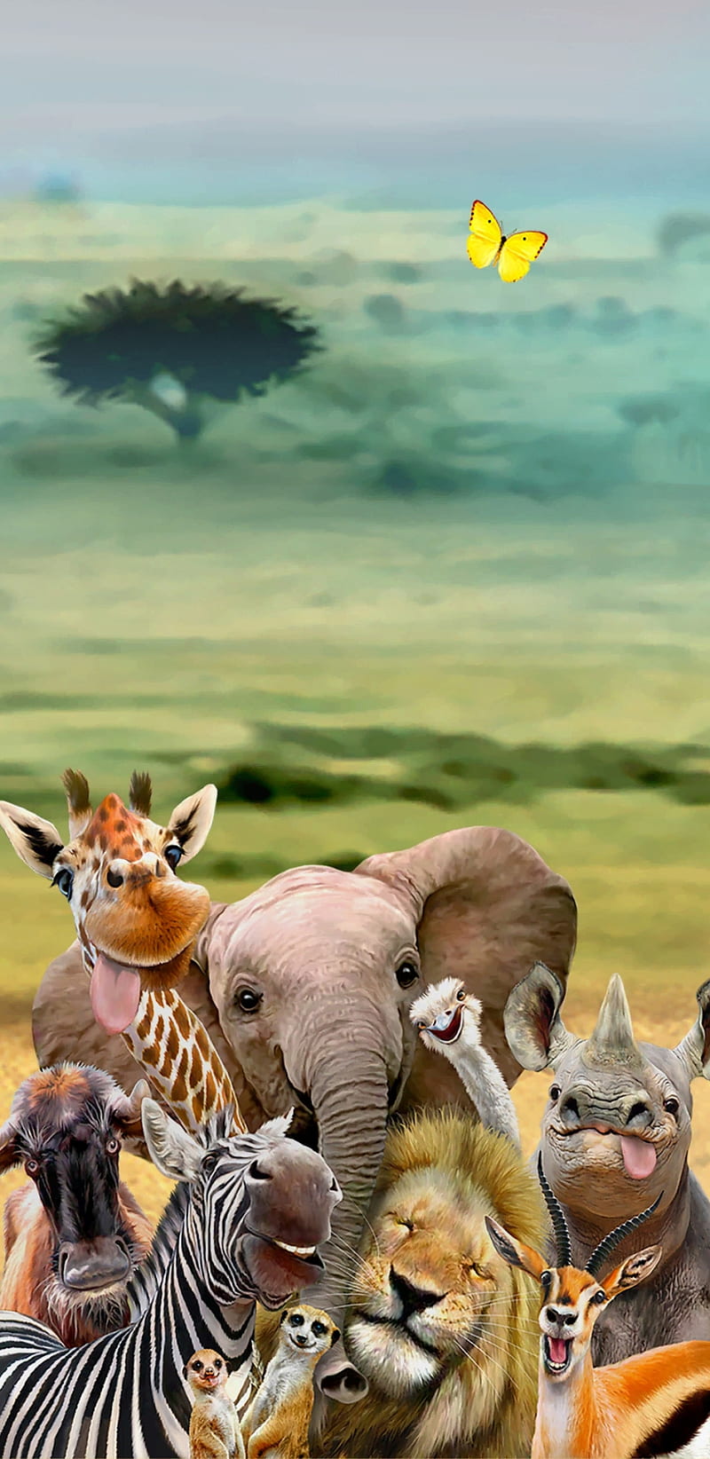 Africa Selfie, animals, cute, elephant, elephants, funny, lion, nature, safari, zebra, HD phone wallpaper
