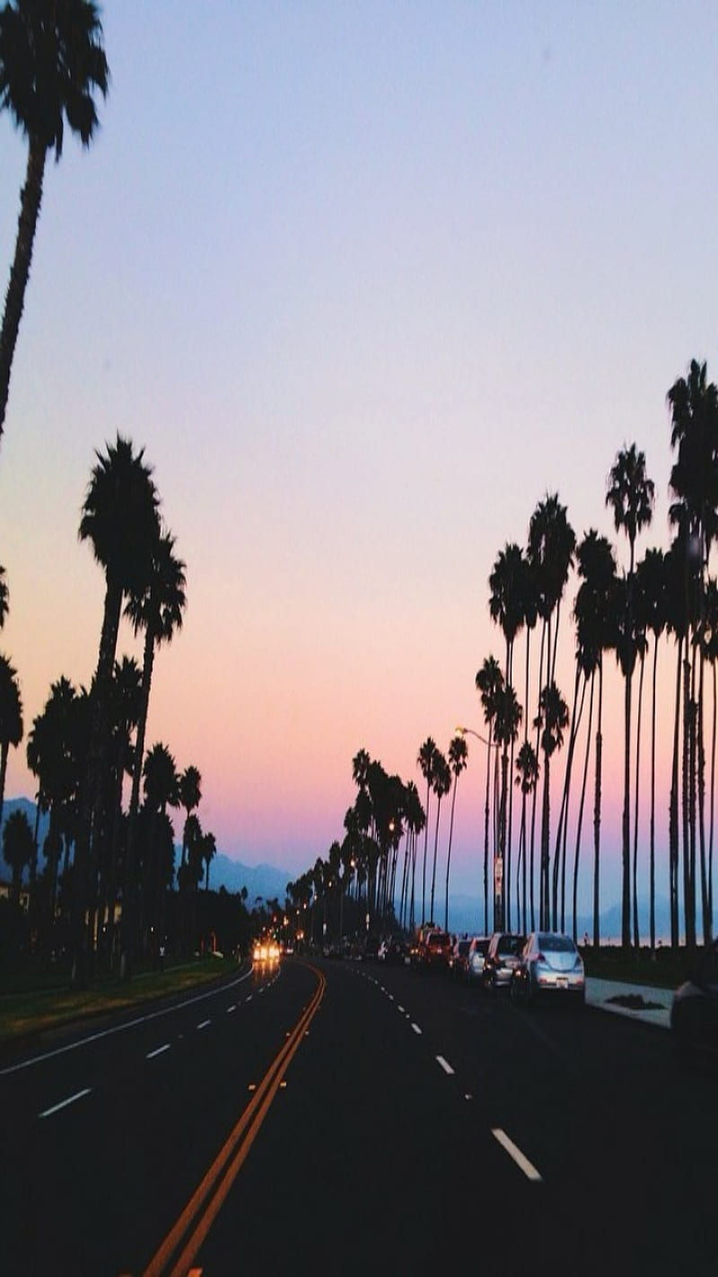 Night Time Cali, california, chill, landscape, palm trees, HD phone wallpaper
