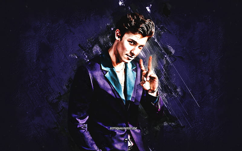 Shawn Mendes, canadian singer, portrait, purple stone background, canadian stars, popular singers, world star, HD wallpaper