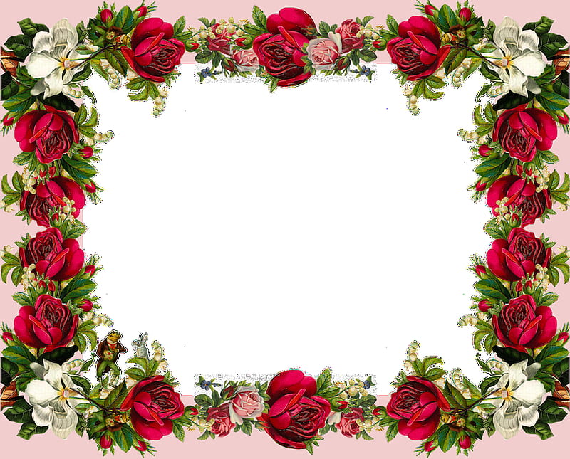 Flower Border, Rose Border, HD wallpaper