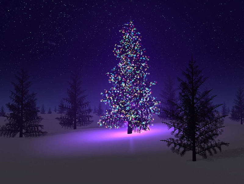 Merry-Christmas tree, christmas, merry, HD wallpaper