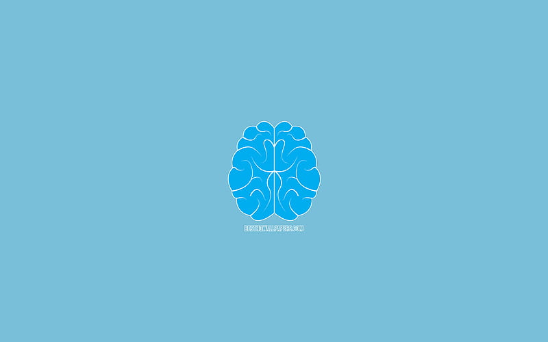 blue brain mind concept, minimal, creative, blue background, brains, intellect, mathematics, brain, HD wallpaper
