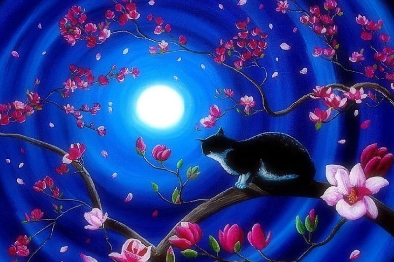 Tuxedo Cat in Magnolia, moons, magnolia, draw and paint, love four seasons, paintings, flowers, moonlight, cats, night, HD wallpaper