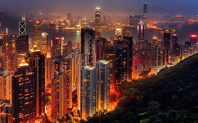 Hong Kong Beauty, hong-kong, world, lights, city, HD wallpaper