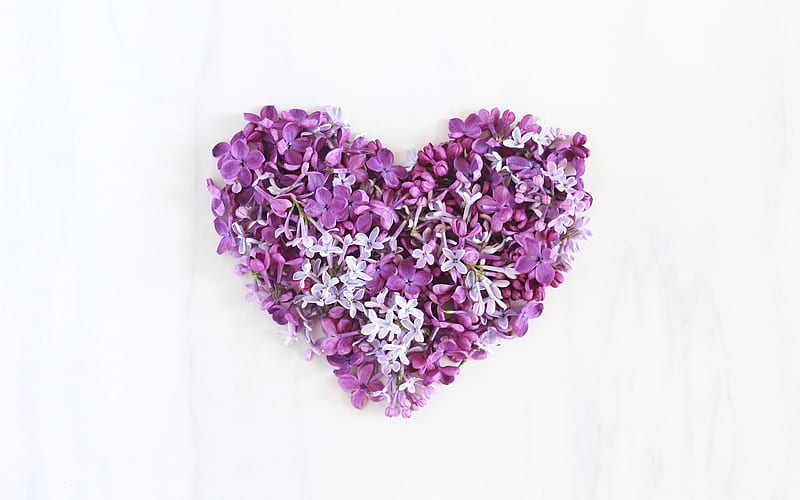 Lilac heart, lilac, valentine, spring, card, liliac, heart, flower, white, pink, HD wallpaper