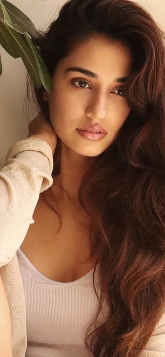 Wallpaper disha patani, actress, bollywood desktop wallpaper, hd image,  picture, background, efc4c2 | wallpapersmug