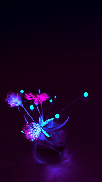 HD lightning flowers wallpapers | Peakpx