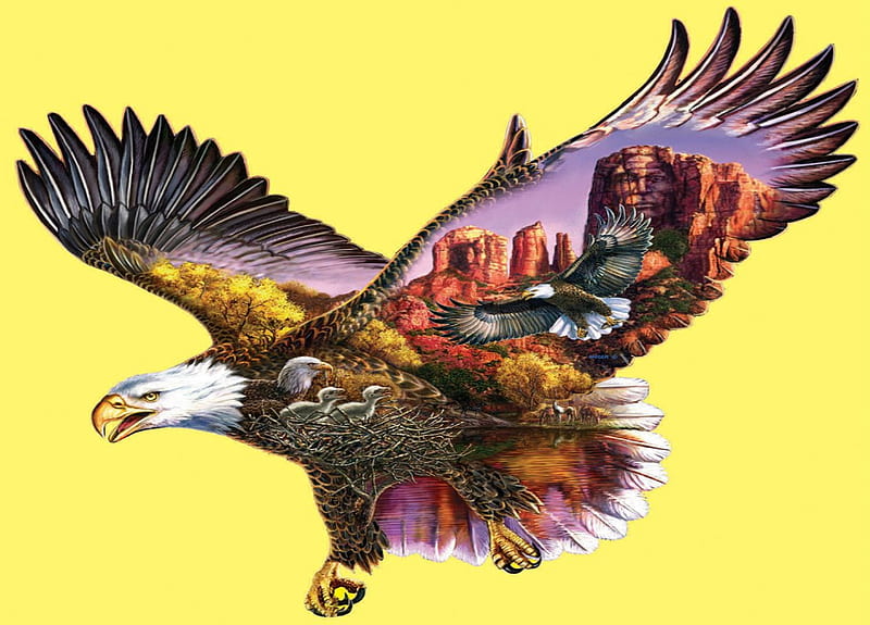 the eagle of life, eagle, art, land, flying, HD wallpaper