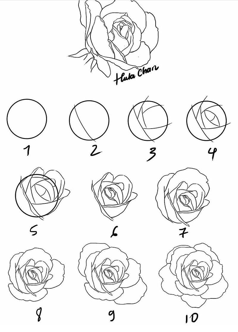 How to draw a rose, HD phone wallpaper