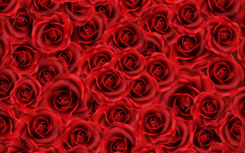 red roses texture, 3D art, red buds, red roses pattern, roses, red flowers, HD wallpaper