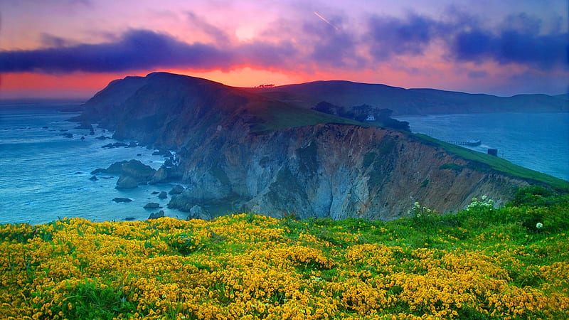Closeup View Of Yellow Flowers Green Leaves Aerial View Of Mountains Between Ocean During Sunset In Purple Red Clouds Sky Ocean, HD wallpaper
