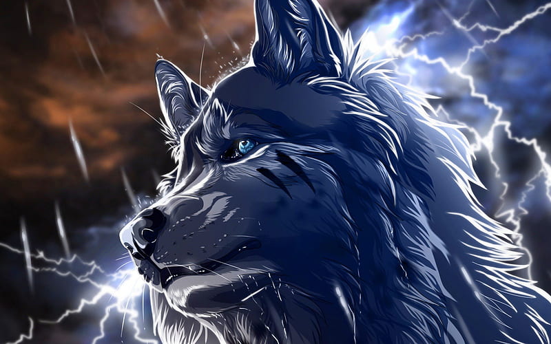 anime wolf, blue eye, wolf, storm, animal, HD wallpaper