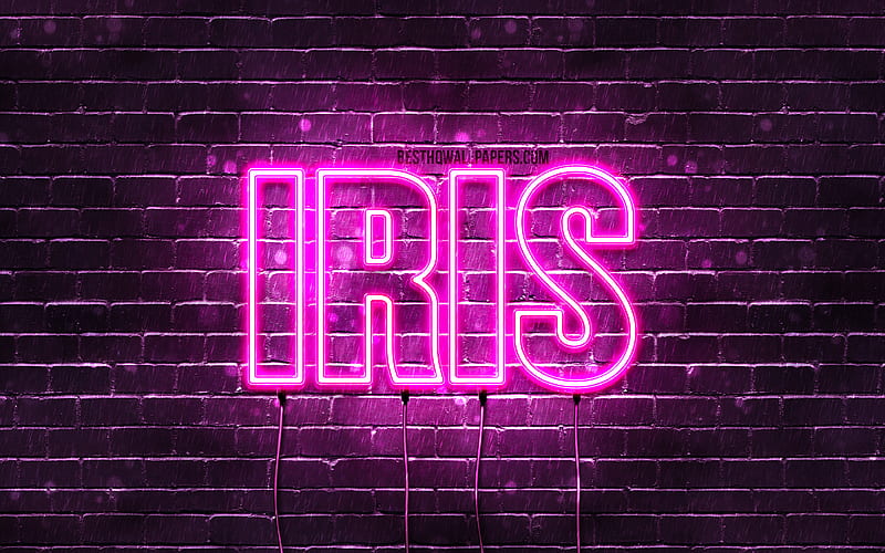 Iris with names, female names, Iris name, purple neon lights, horizontal text, with Iris name, HD wallpaper