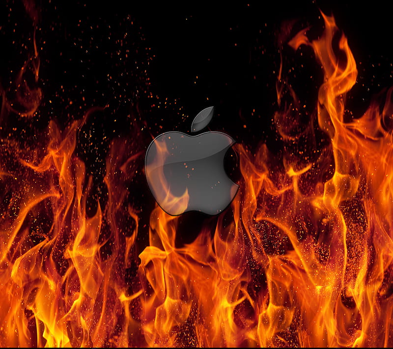 Apple logo on fire, apple logo, real fire, HD wallpaper