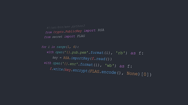 code, minimalism, simple background, text, Python ( programming),  Minimalist Programmer, HD wallpaper | Peakpx