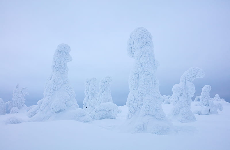 Lapland Finland Winter Wonderland Landscape Ultra, Europe, Finland, bonito, Landscape, Winter, White, Trees, Amazing, Cold, Covered, Snow, Snowy, lapland, stunning, HD wallpaper