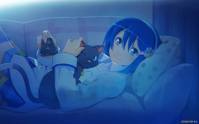 Good night!!!, sleep, anime, dreams, cat, blue, night, HD wallpaper