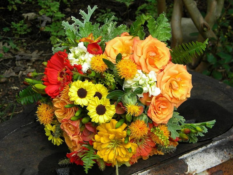 Summer Orange Bouquet, red, zinnia, orange, black eyed susan, yellow, roses, HD wallpaper