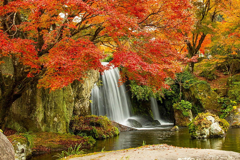 Waterfall in autumn, fall, waterfall, trees, branches, autumn, pond ...
