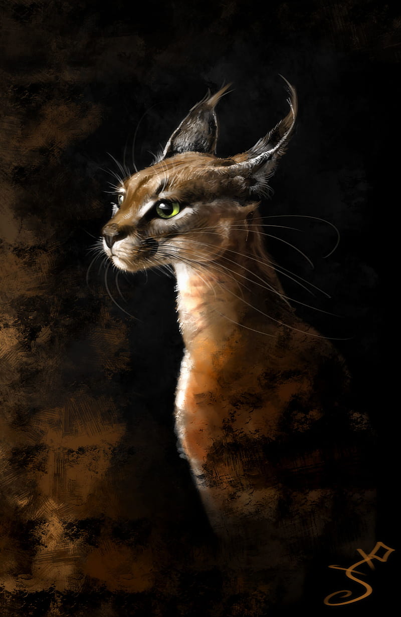 lynx, art, big cat, predator, HD phone wallpaper