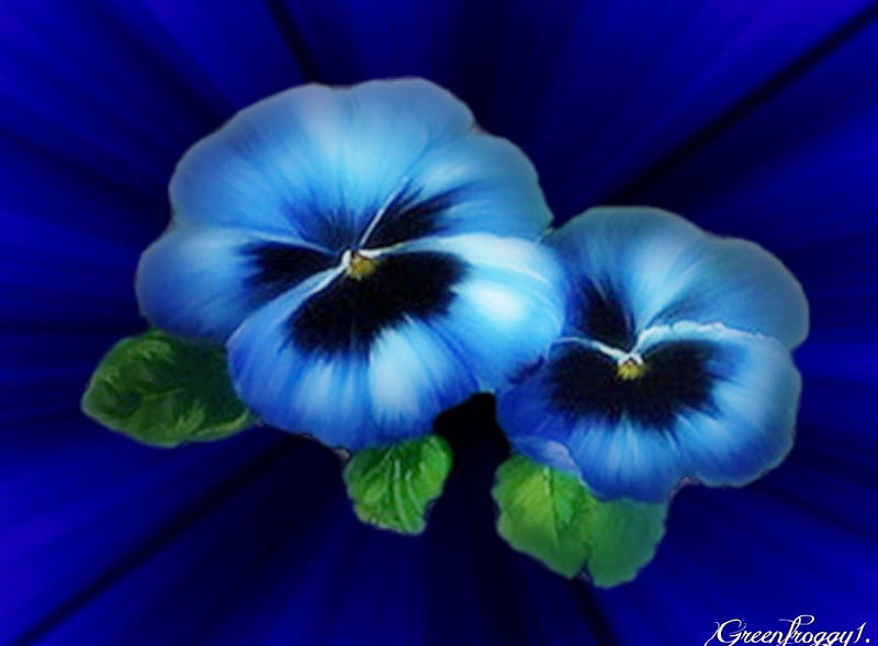 BLUE VELVET, BLUE, ART, FLOWERS, ABSTRACT, HD wallpaper | Peakpx