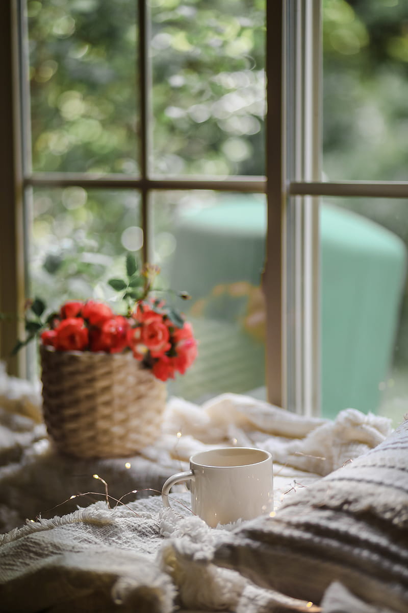 mug, window, garland, flower, HD phone wallpaper