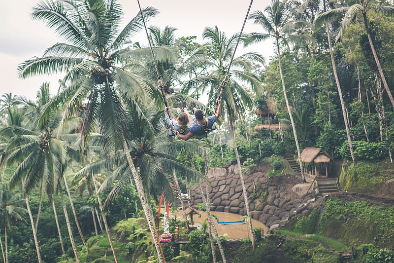 two person zip-lining, HD wallpaper