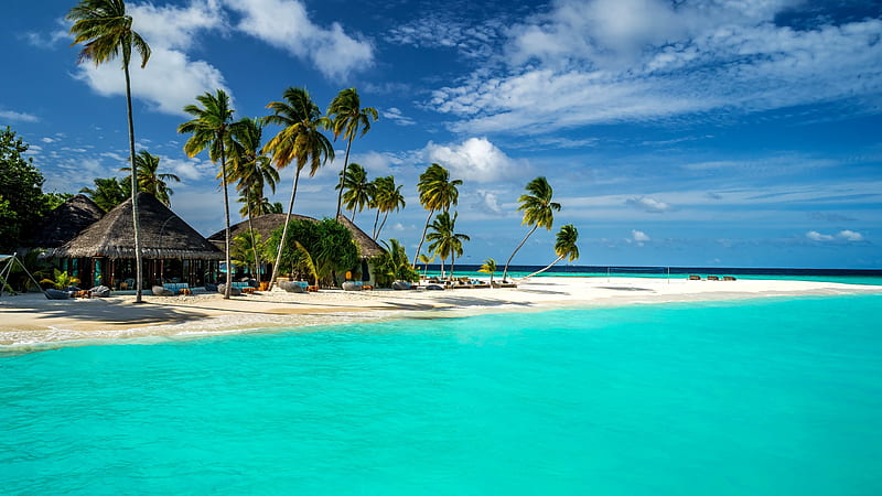 Maldives, , , , Indian Ocean, Best Beaches in the World palms, shore, sky, OS, Beautiful Maldives, HD wallpaper