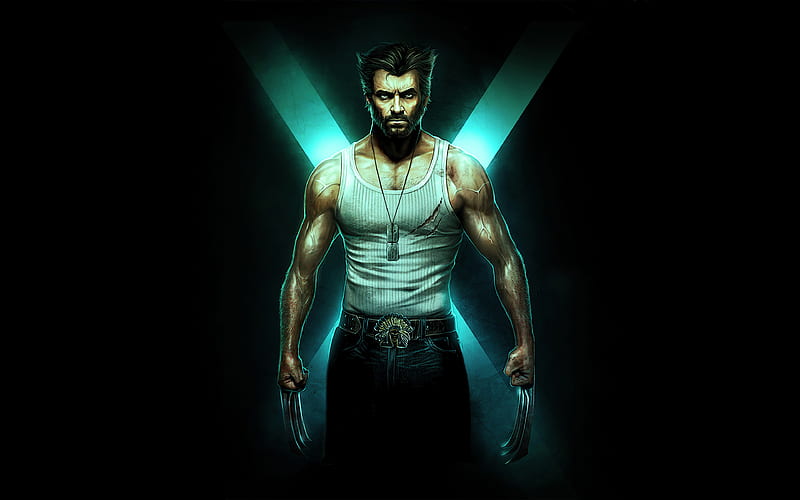 Wolverine, hugh jackman, logan, marvel, superhero, x men, HD wallpaper