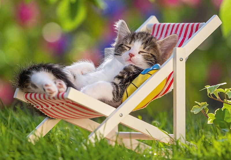 Kitten, chaislongue, summer, nap, cat, sleep, sweet, cute, vara, green, pisici, HD wallpaper
