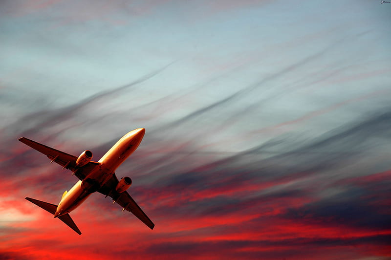 Passenger Plane , planes, HD wallpaper