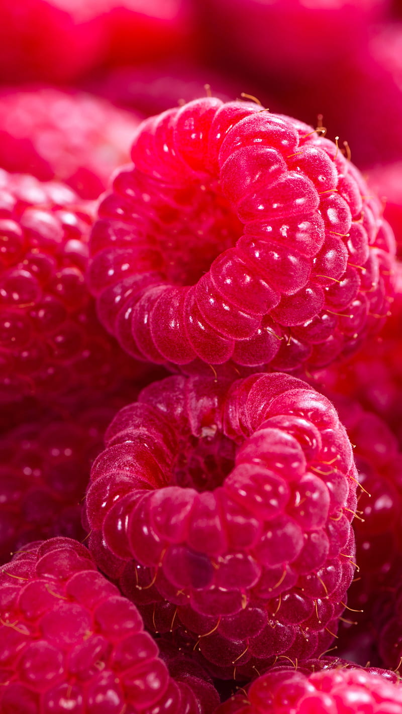 Raspberries, close-up, food, fresh, fruit, red, HD phone wallpaper