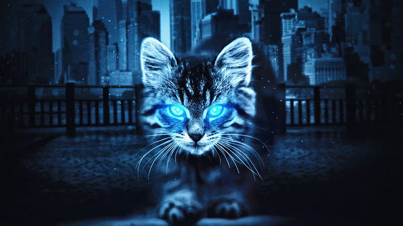 Cat Glowing Eyes , cat, animals, artist, artwork, digital-art, HD wallpaper