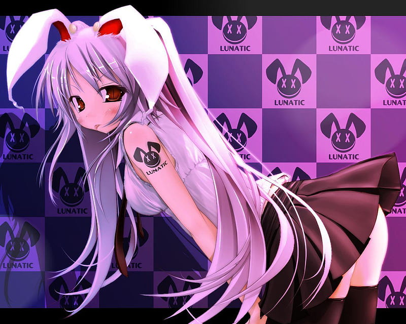Bunny Cosplay, sleepwalker, short skirt, anime, lunatic, HD wallpaper