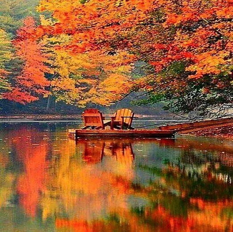 Autumn, Trees, Creek, Foliage, River, Lake, Sunset, HD wallpaper | Peakpx